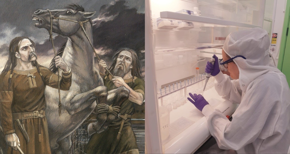 Medieval Christians Supplied Pagans With Horses For Sacrifice, New Study Suggests