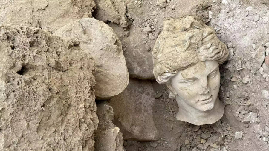 Hygieia Statue Head Turkiye
