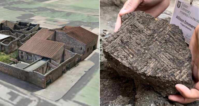 Pompeii Complex Alongside Reed Mat Imprint Featured