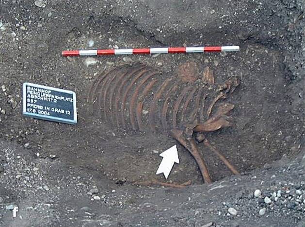 Roman Horse Burial