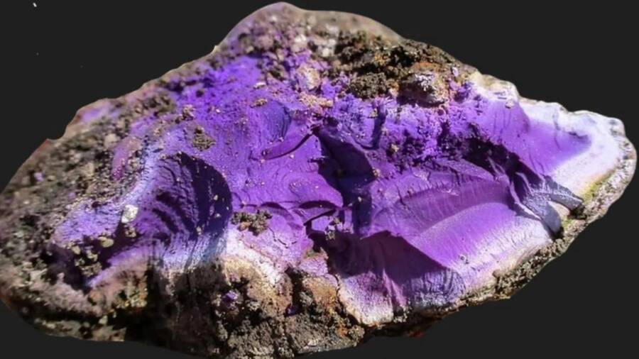 Tyrian Purple Dye