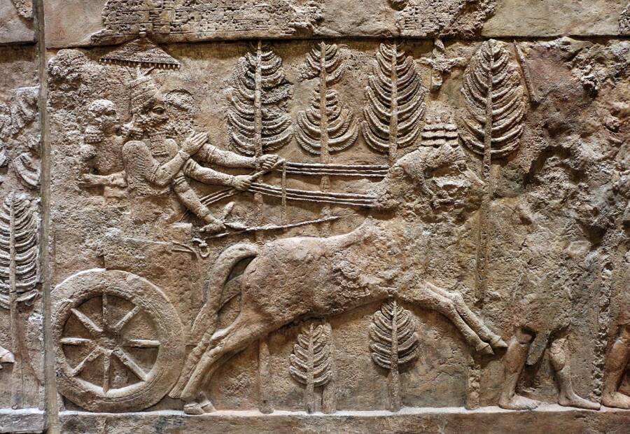 Sargon II Of Assyria