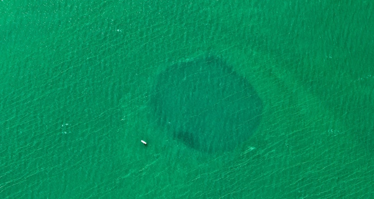 Taam Ja' Blue Hole, The Deepest Ocean Sinkhole On Earth