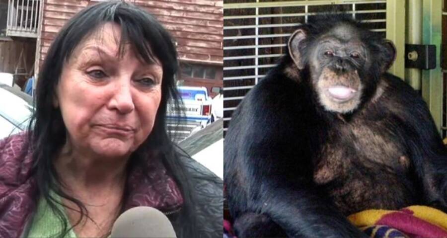 Sandra Herold, Owner Of The Chimp That Mauled Charla Nash