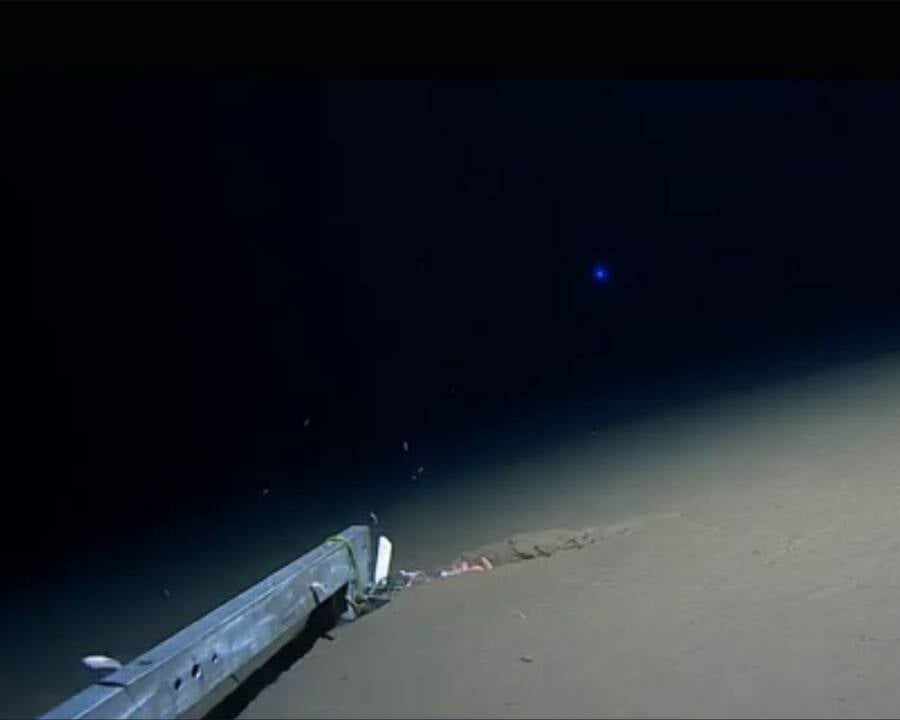 Two Landers In Challenger Deep
