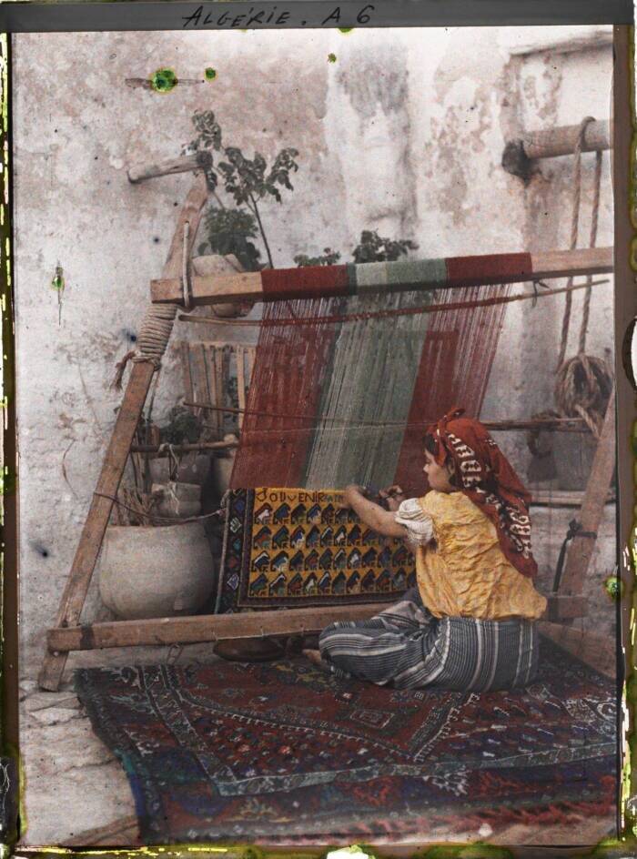 Carpet Weaver In Algeria