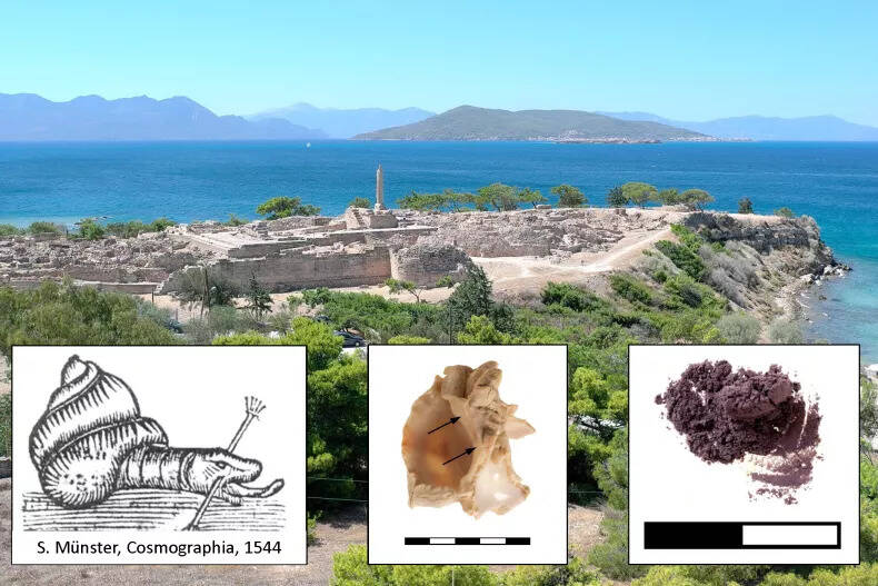 Mycenaean Purple Dye Workshop On Aegina