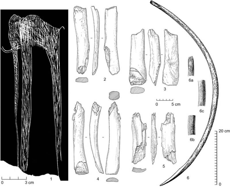 Altered Mammoth Bones
