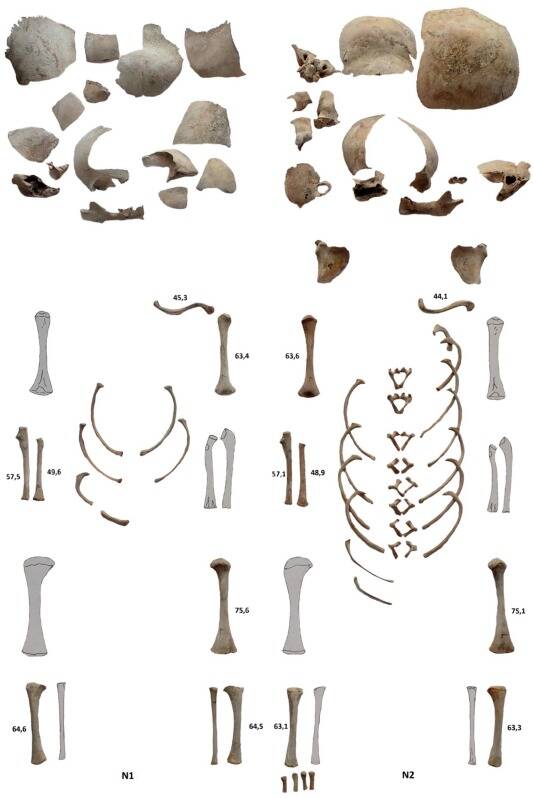 Bones Of Bronze Age Infants