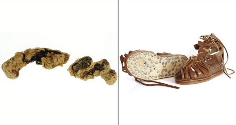 Featured Roman Sandal Found In Germany