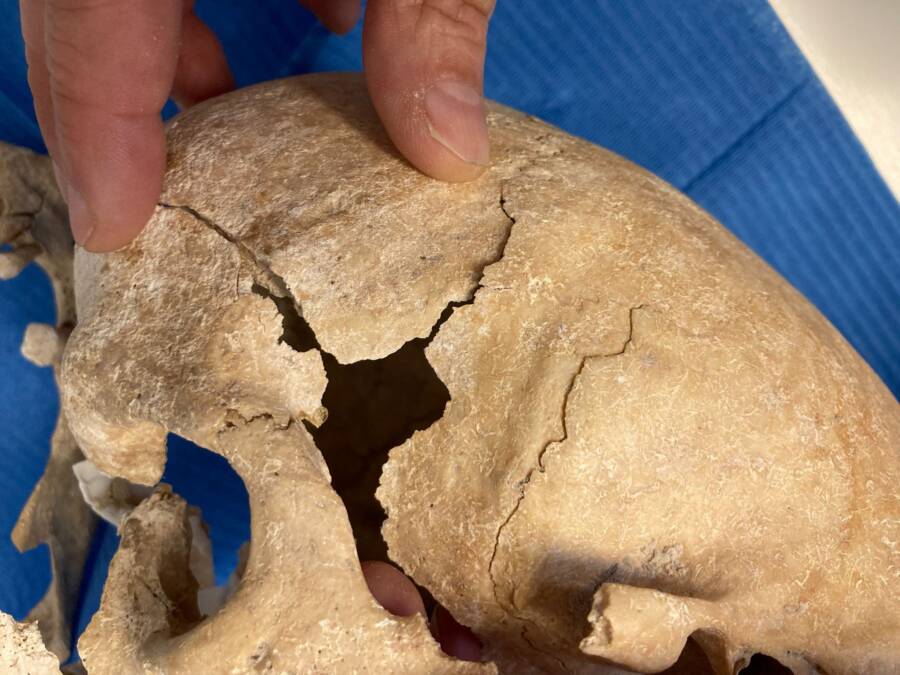 Skull Of Spanish Medieval Warrior Woman