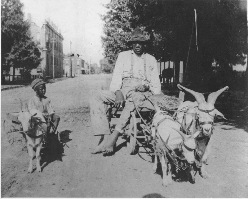 John Rogan With A Goat Cart