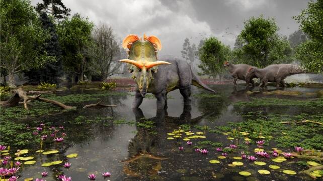 Lokiceratops In A Swamp