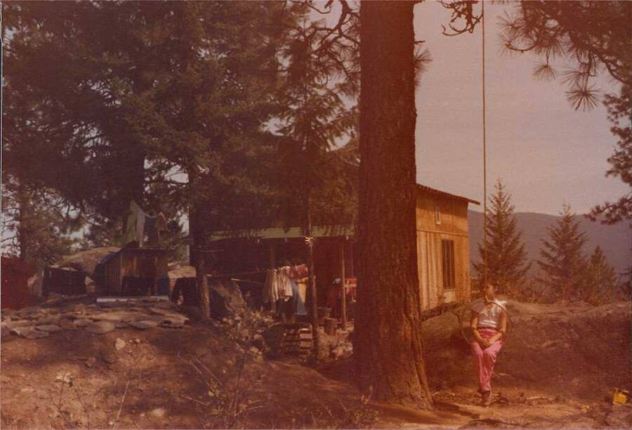 Weaver Cabin At Ruby Ridge