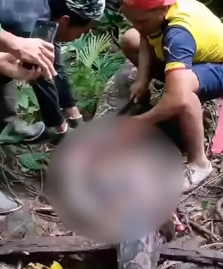 Woman Killed By Python In Kalempang