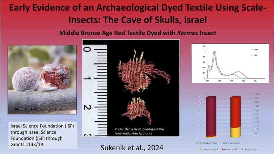 Analysis Of The Red Textile