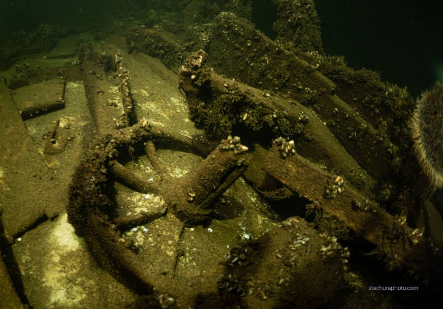 Baltic Sea Shipwreck Wheel