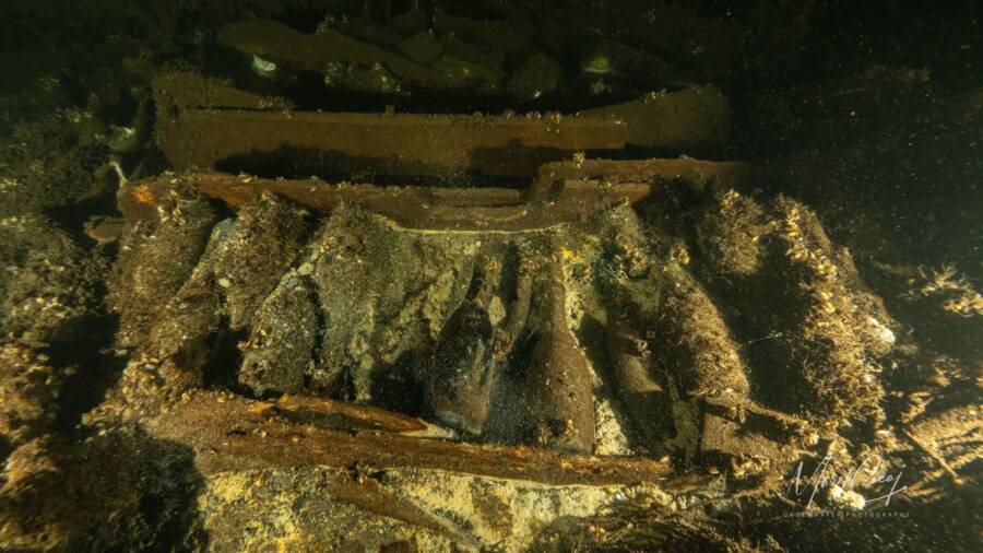 Champagne Bottles In The Baltic Sea Shipwreck