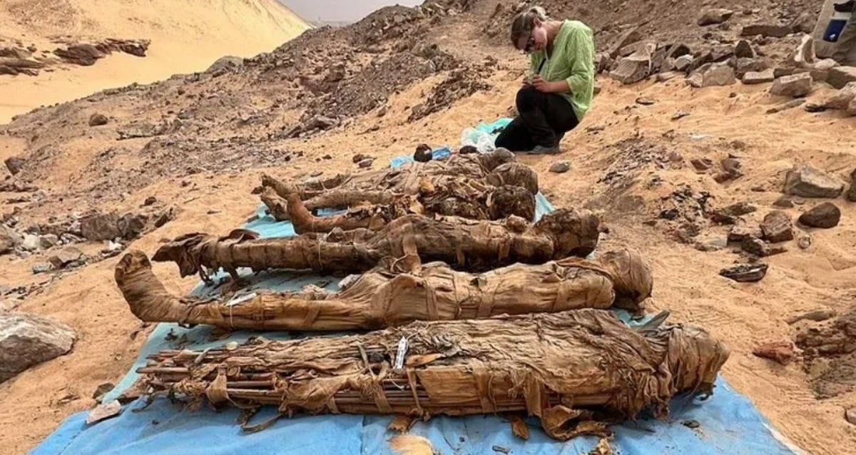 More Than 900 Ancient Remains Spanning 1,500 Years Uncovered At Egypt’s ‘City Of The Dead’ In Aswan