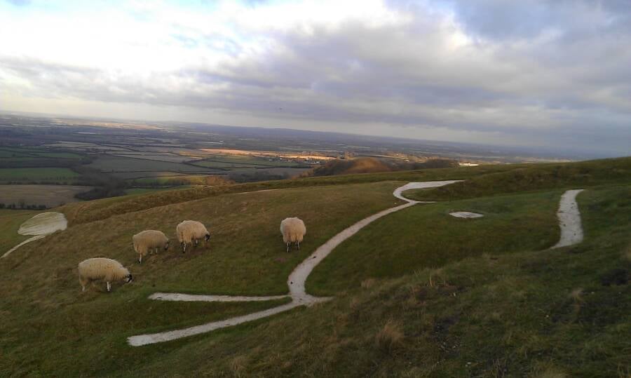 Head Of Uffington White Horse