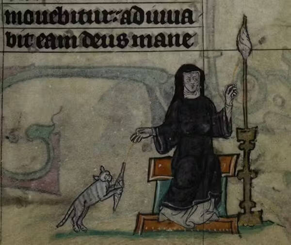 Medieval Cat