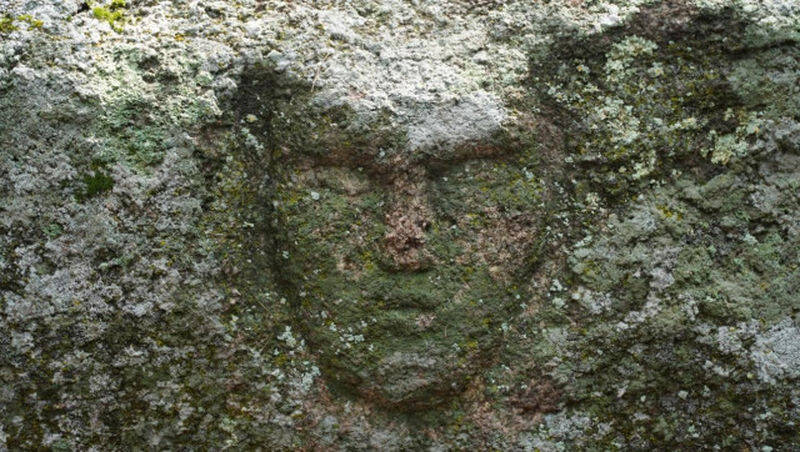 Stone Face Close Up