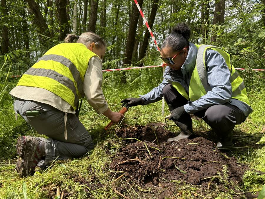 Archaeologists Digging For John Fisher's Plane