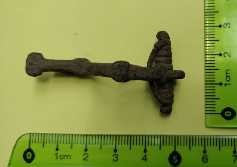 Bronze Fibulae