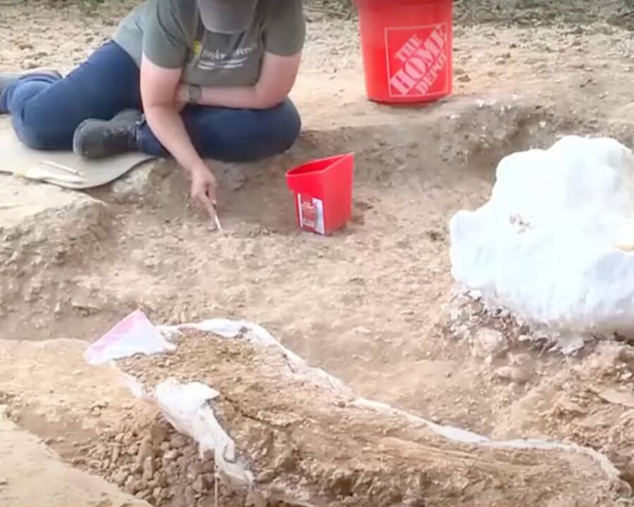 Columbian Mammoth Excavation Site