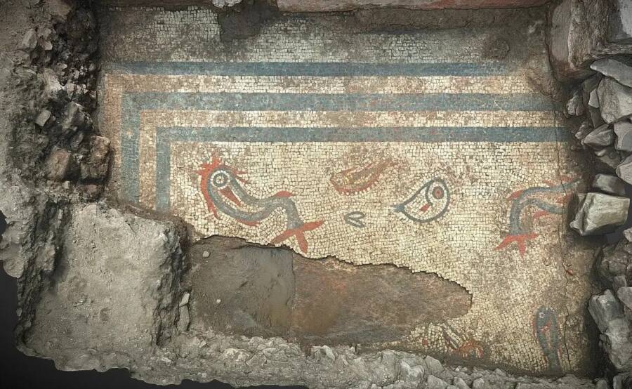 Aquatic Mosaic Wroxeter Roman City