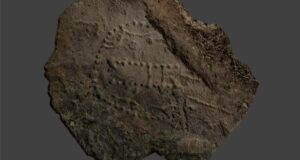 Game From Rock Shelter Featured