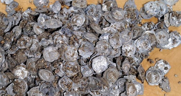 Glottertal Coin Hoard Featured