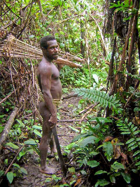 Papuan Cannibal