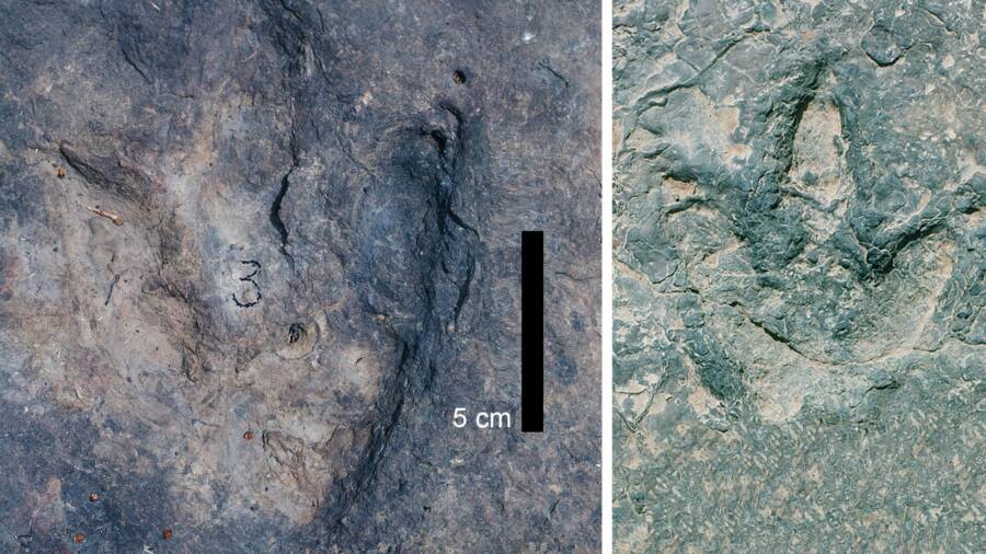 Koum Basin Footprints