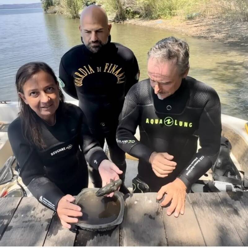 Lake Bolsena Divers