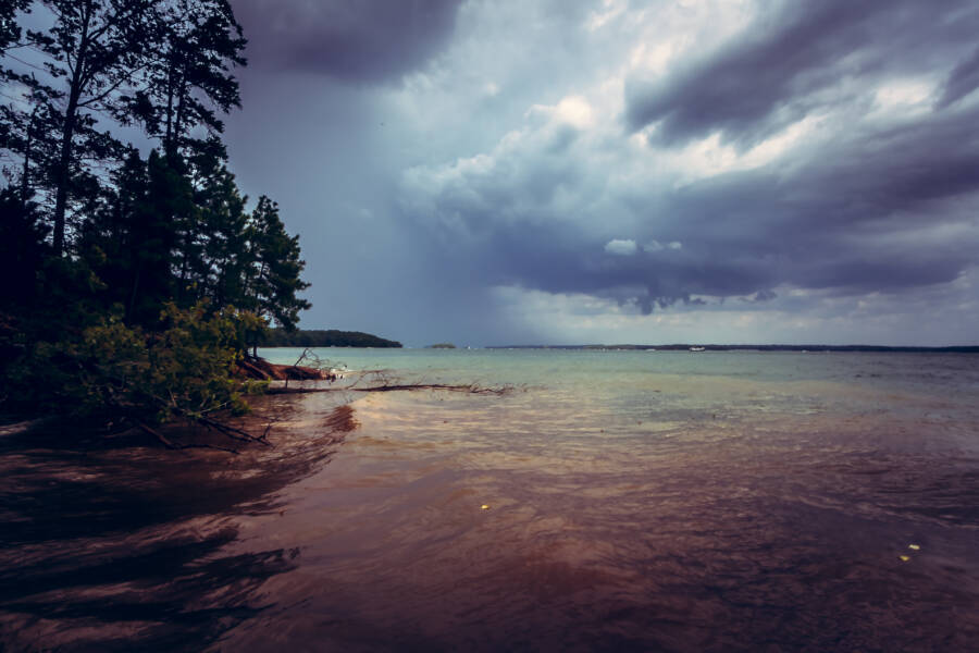 Lake Lanier Shore