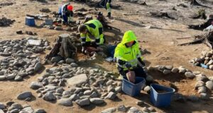 Norway Child Burials Featured