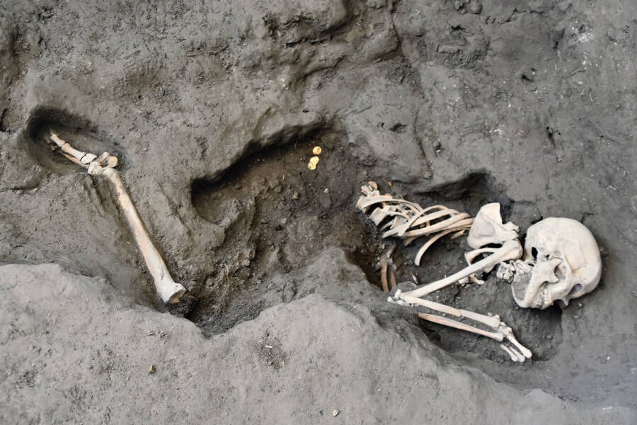 Pompeii Victim With Coins