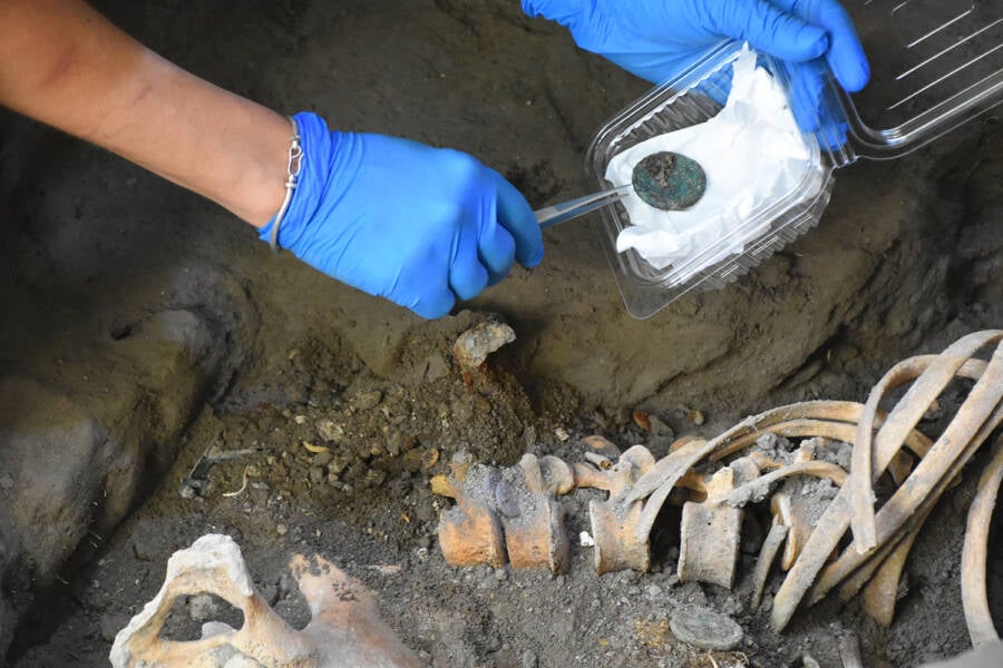 Pompeii Coin Excavation