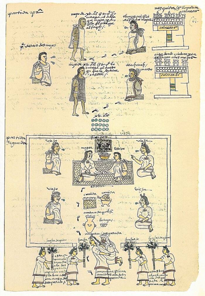 Pulque Codex