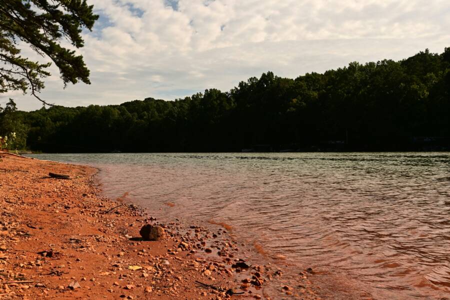 Shore Of Haunted Lake Lanier