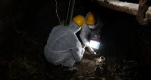 1600s Italian Cocaine Featured Image