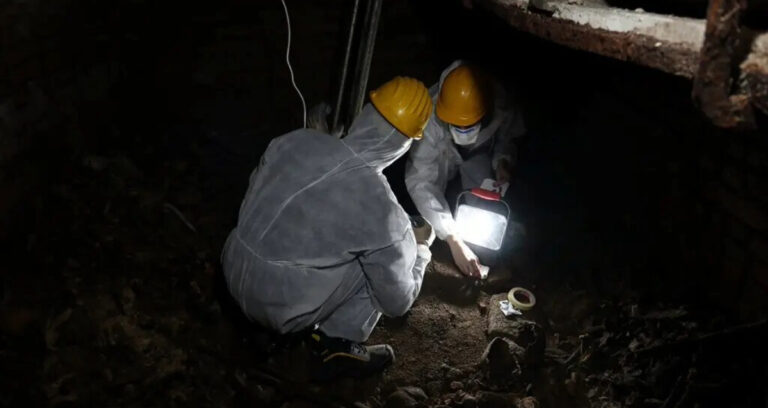 1600s Italian Cocaine Featured Image