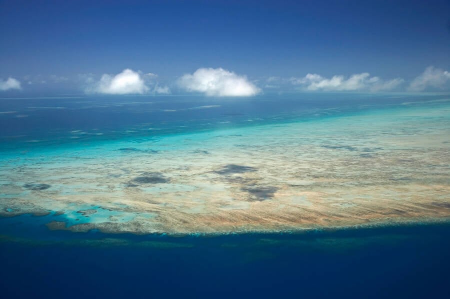 Batt Reef