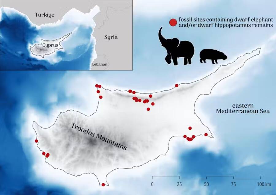 Cyprus Dwarf Animal Map