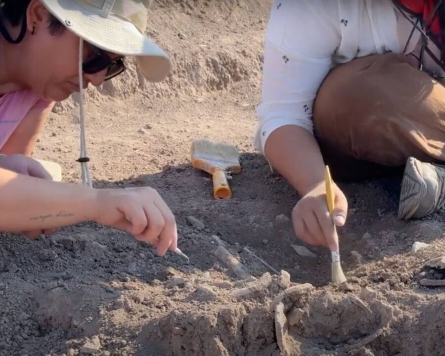 Domuztepe Mound Turkiye Child Skeletons