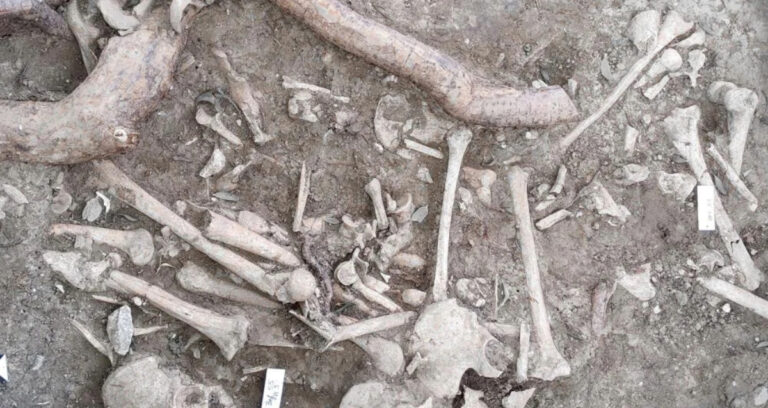 German Gallows Featured Image