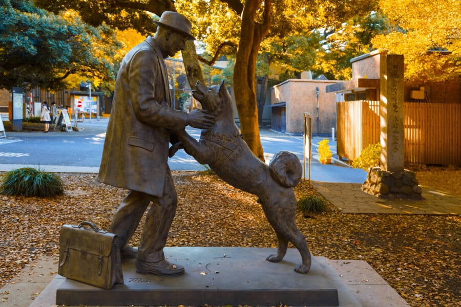 Ueno And Hachiko Statue