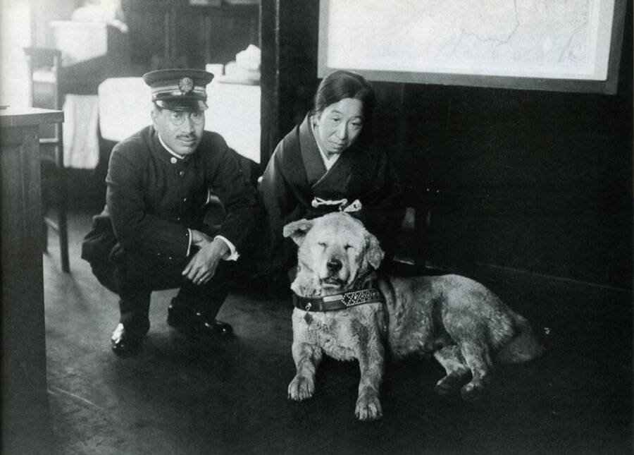 Akita At Shibuya Station