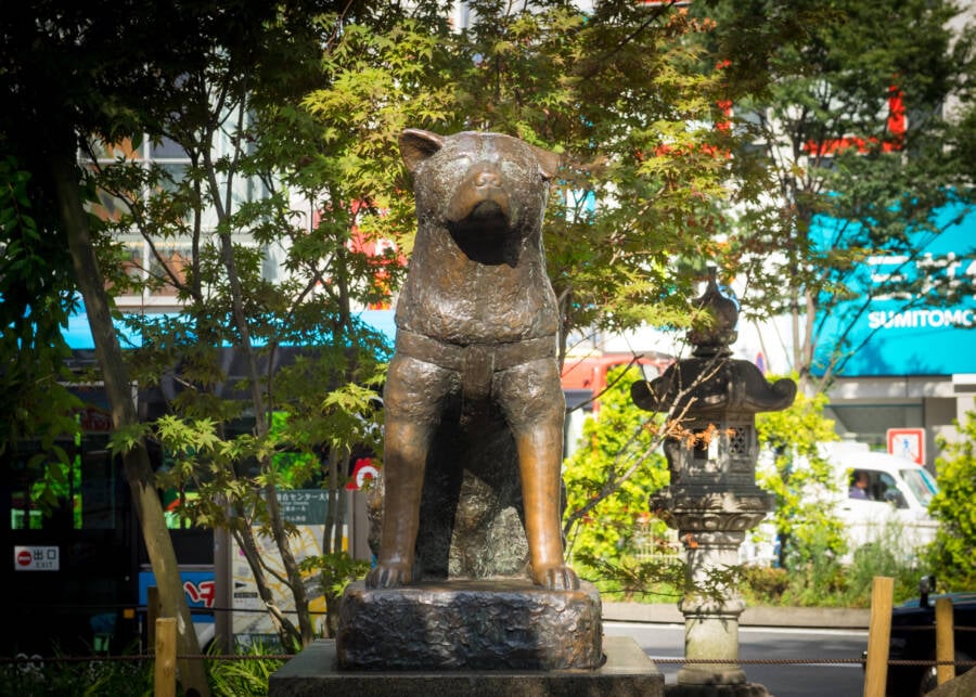 Hachiko Statue